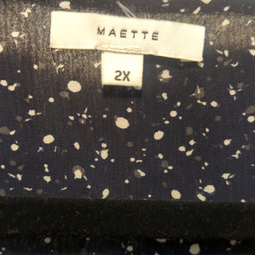 Sheer Blouse - image 3